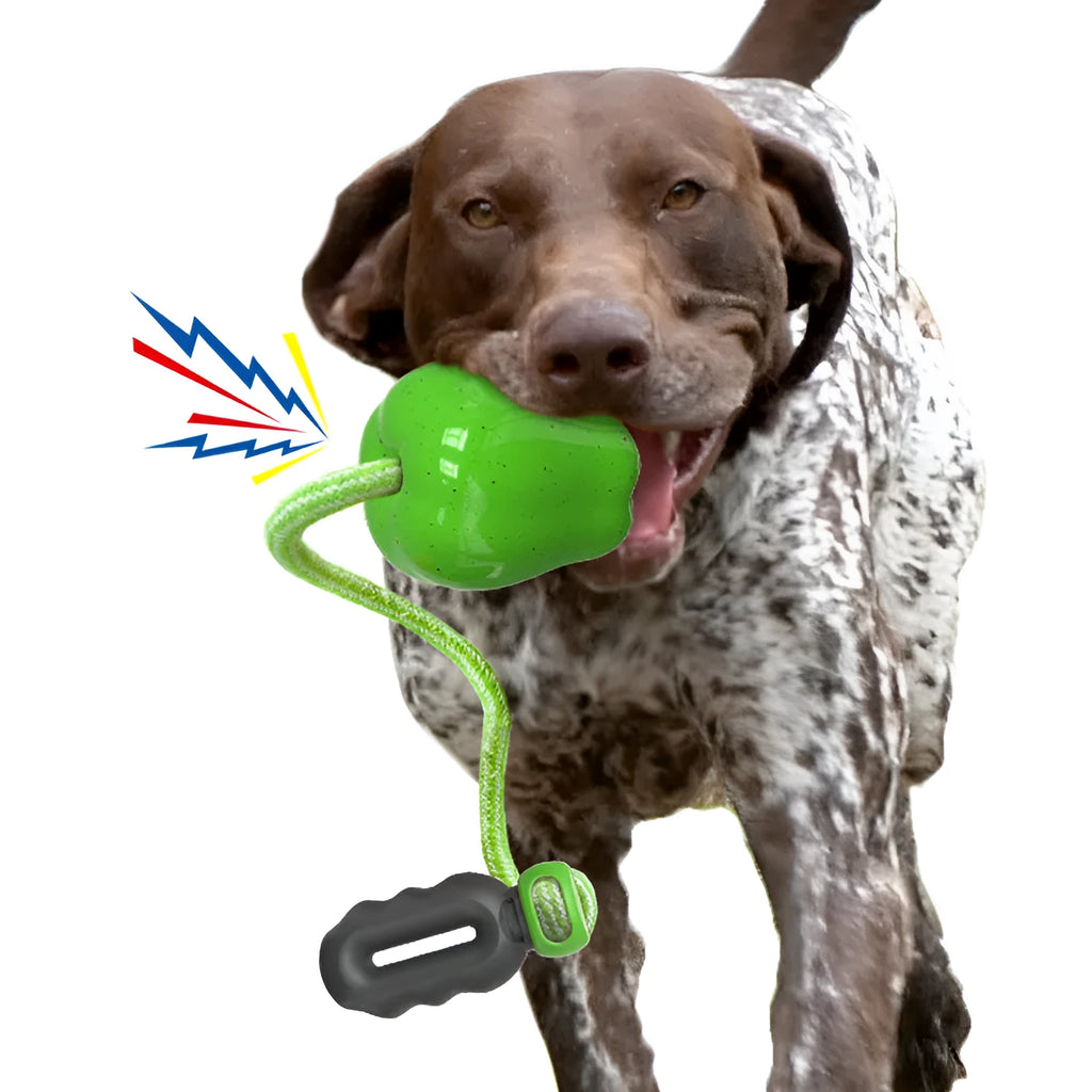 Green apple-shaped dog chew toy with textured surface and food-dispensing hole