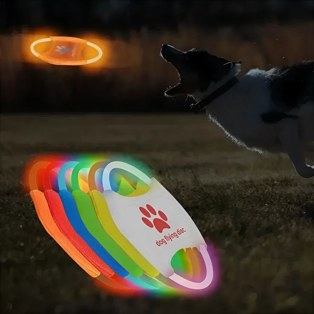LED glowing dog flying disc for low-light fetch and training, 22cm diameter, available in multiple colours