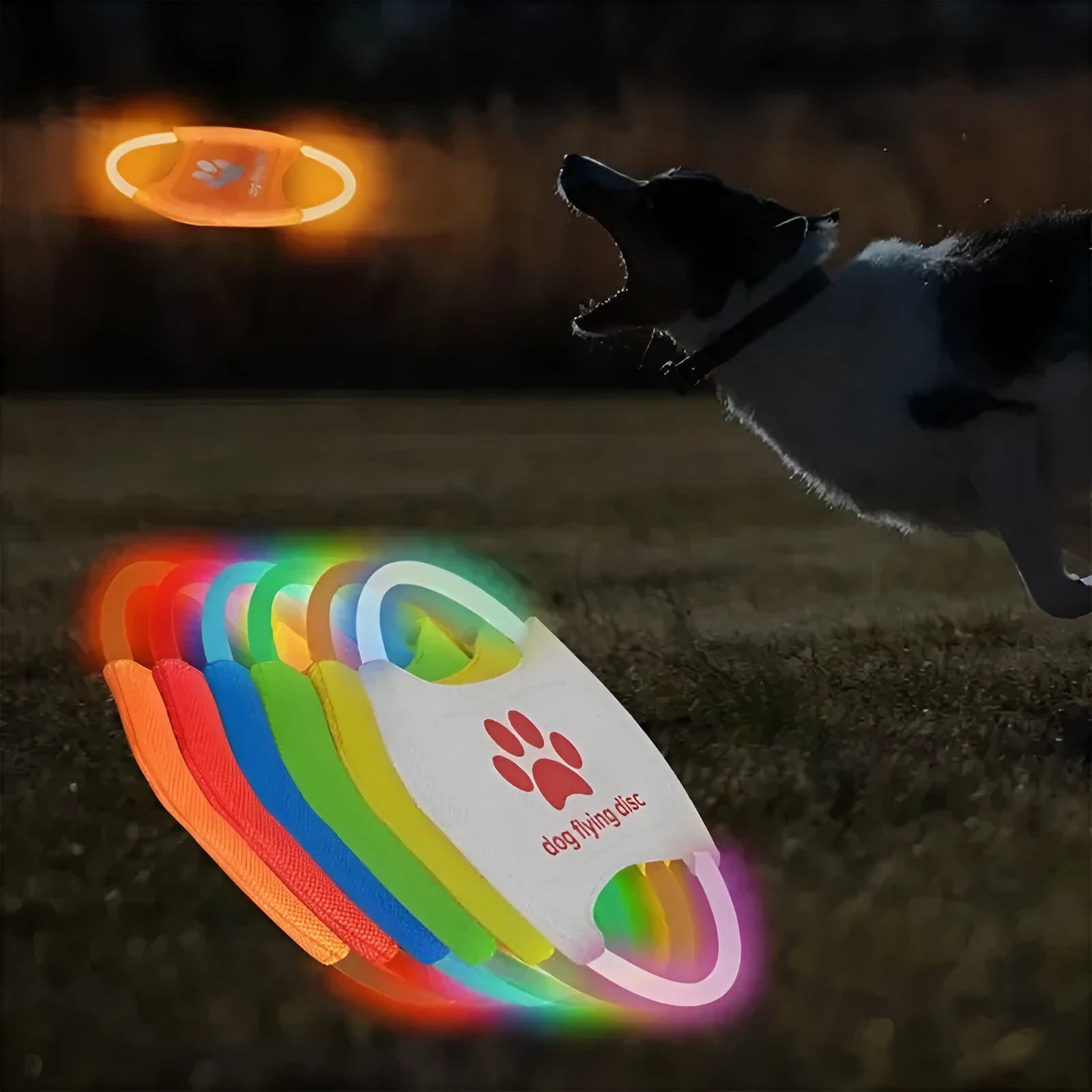 LED glowing dog flying disc for low-light fetch and training, 22cm diameter, available in multiple colours