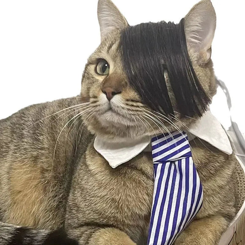 Black polyester cat wig with braided style for fox costume dress up