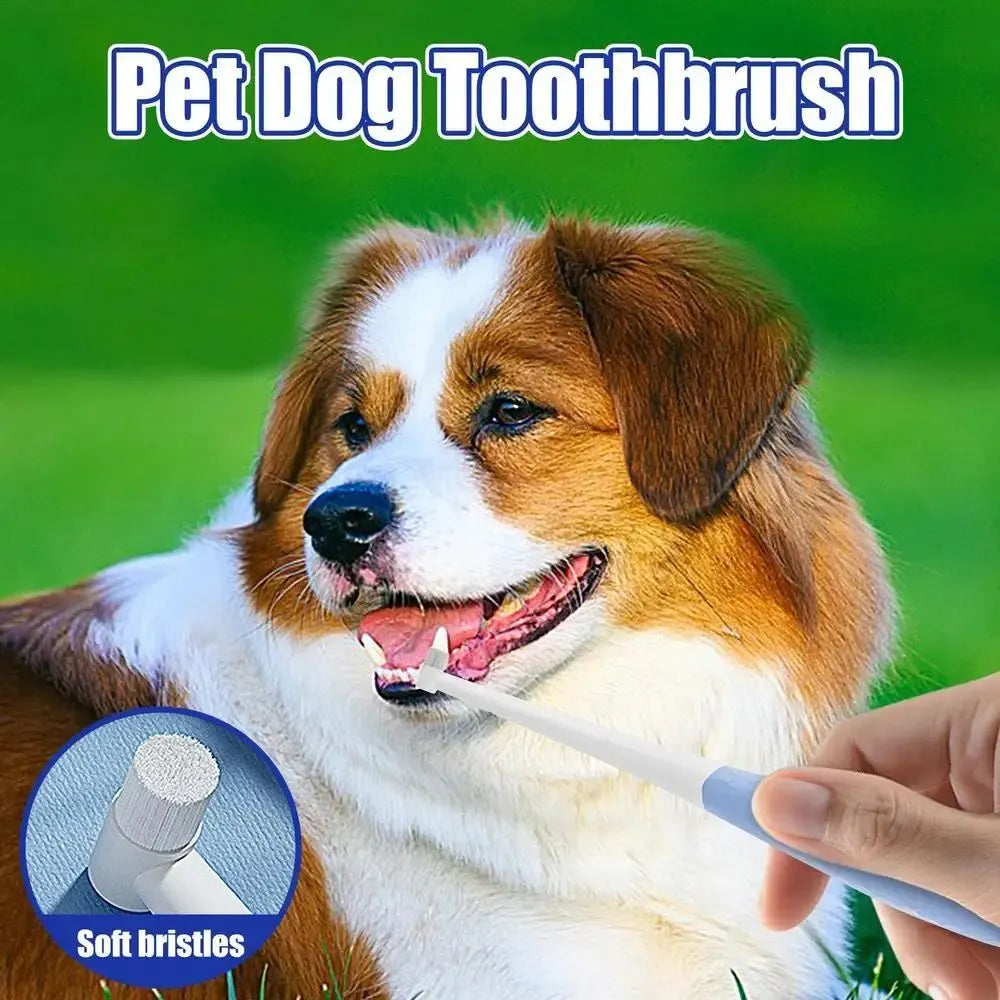 Cat toothbrush with anti-slip handle, 15cm, for kittens and small dogs, in blue or yellow with flat or pointed head