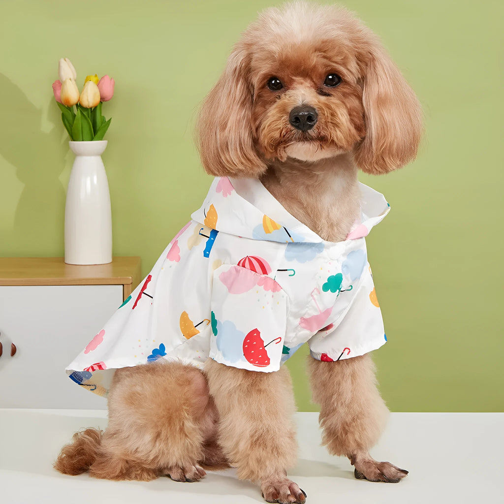 Colourful cartoon umbrella pattern polyester raincoat for a dog, showing sizes XS to XL.