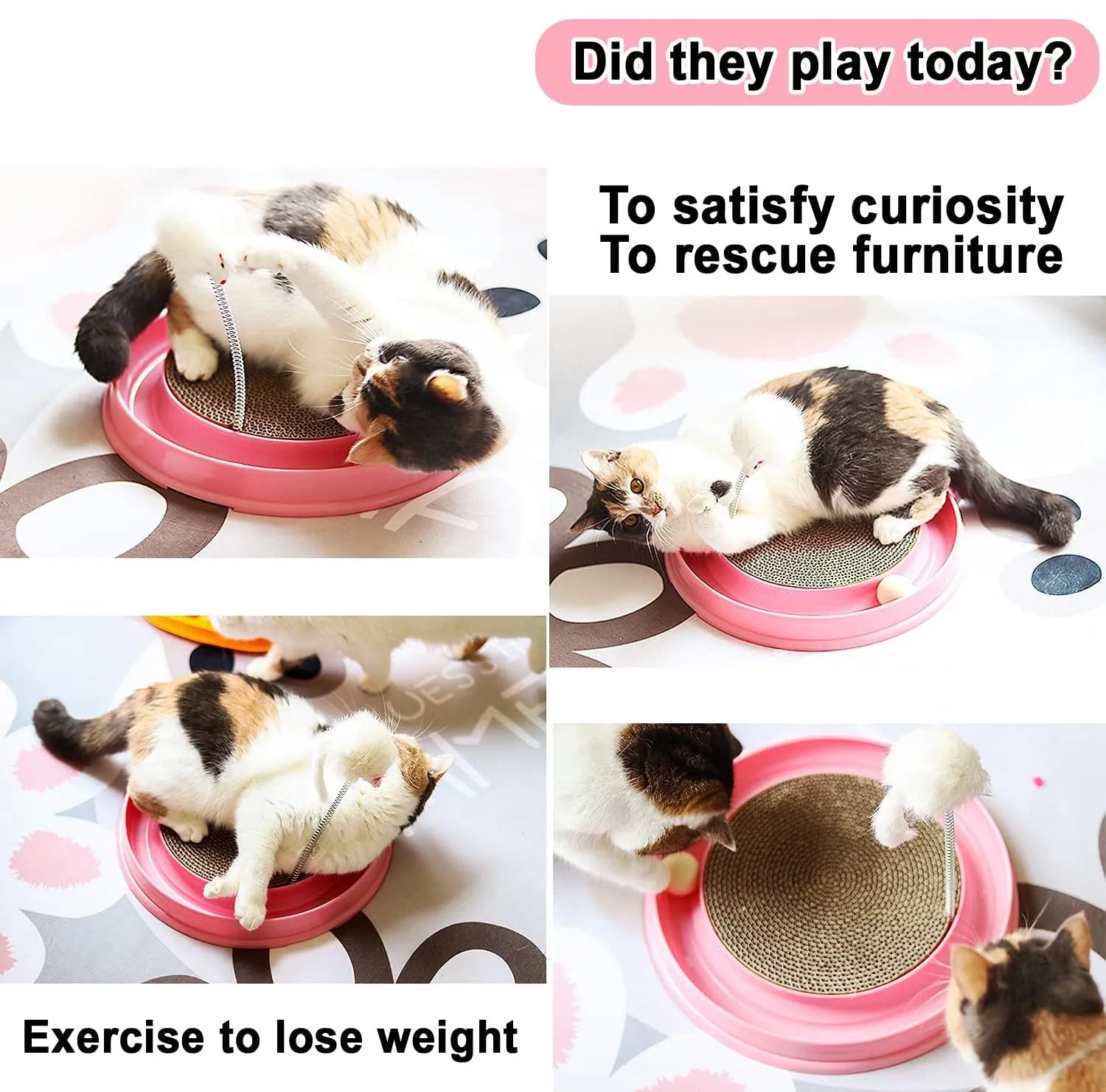Blue interactive cat scratcher toy with ball track and replaceable scratch pad on a round base.
