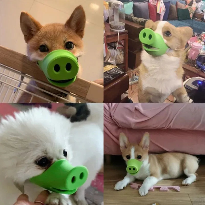 Silicone dog anti-bite mouth cover in blue and green colours showing two size options