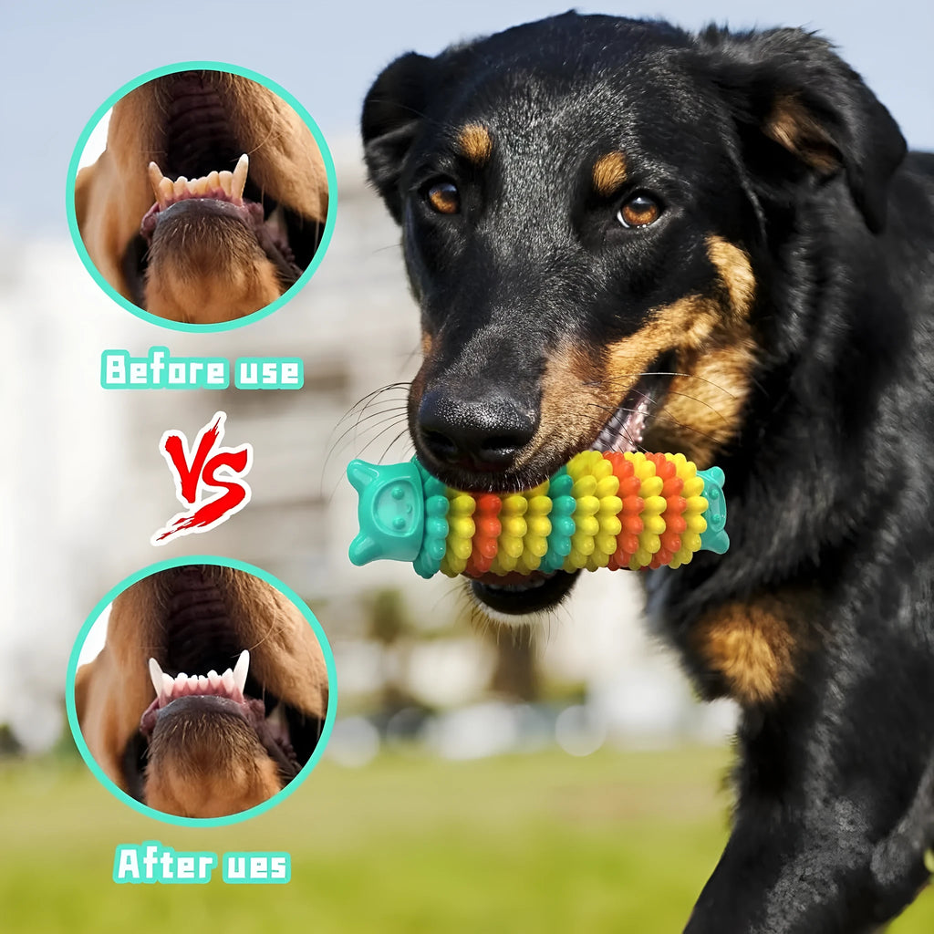 Blue, green, and pink caterpillar-shaped rubber dog chew toy for aggressive chewers.