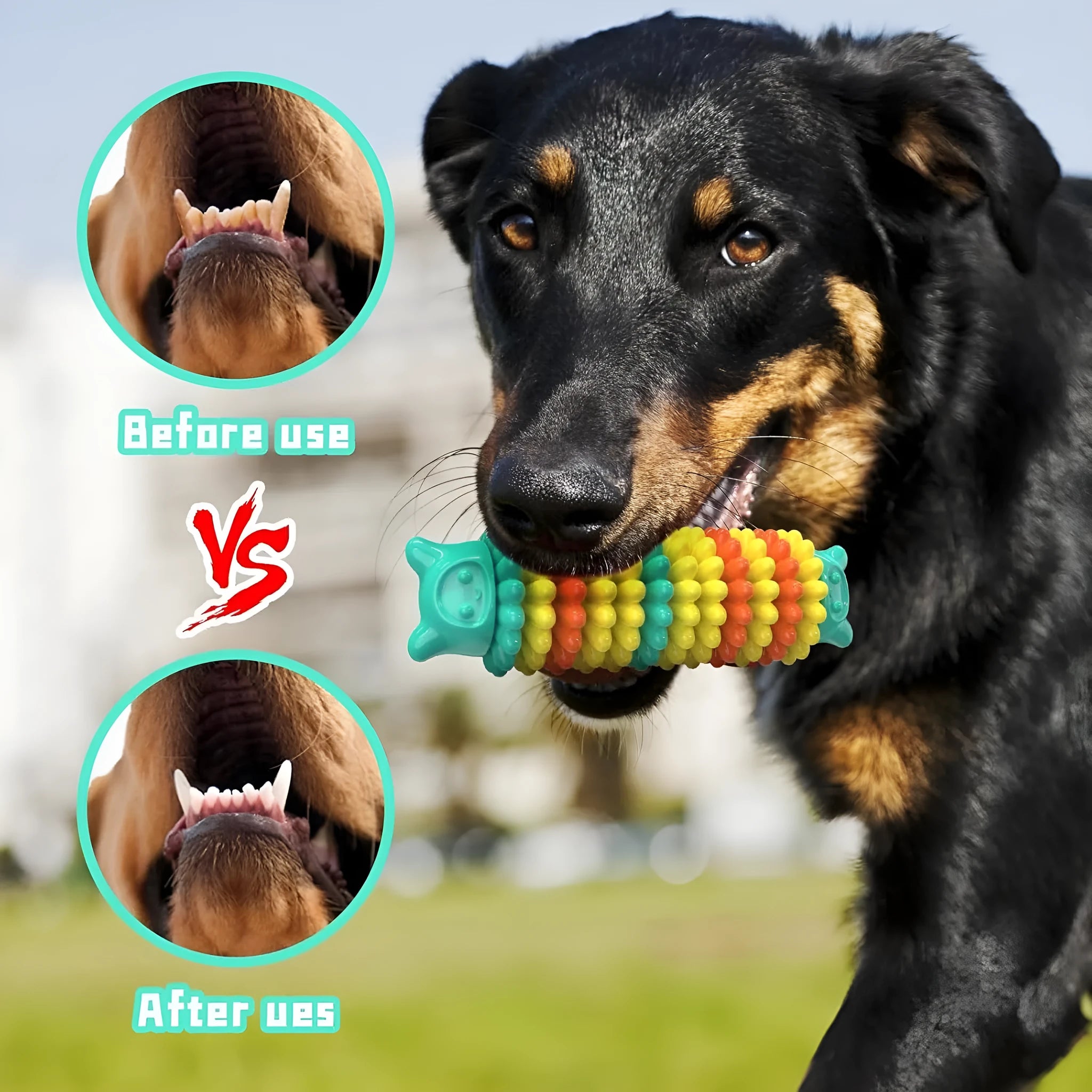 Blue, green, and pink caterpillar-shaped rubber dog chew toy for aggressive chewers.