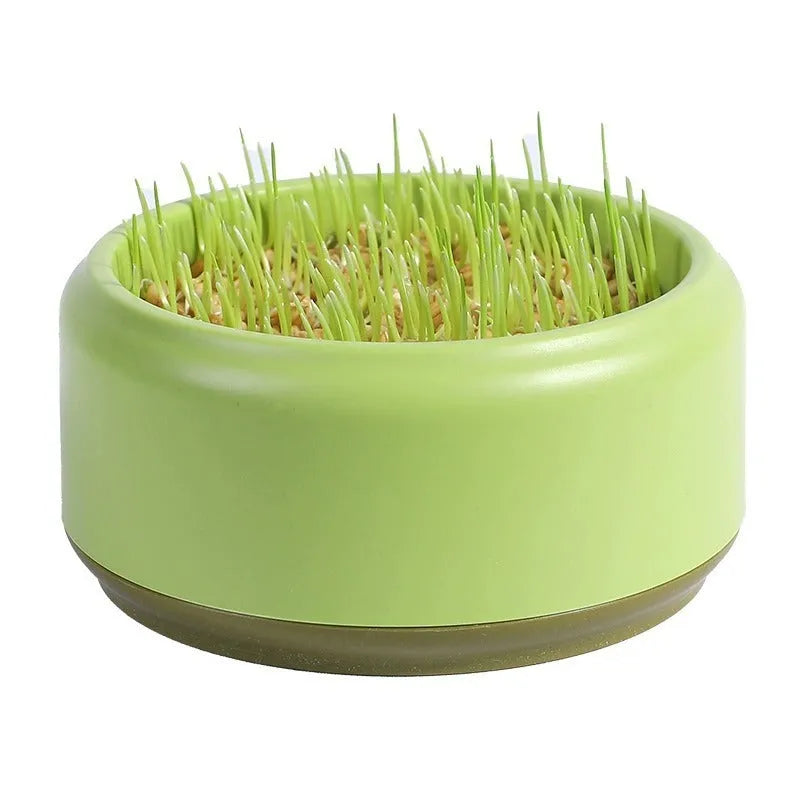 Blue, green, and yellow hydroponic cat grass planters with seed packs on a white background.