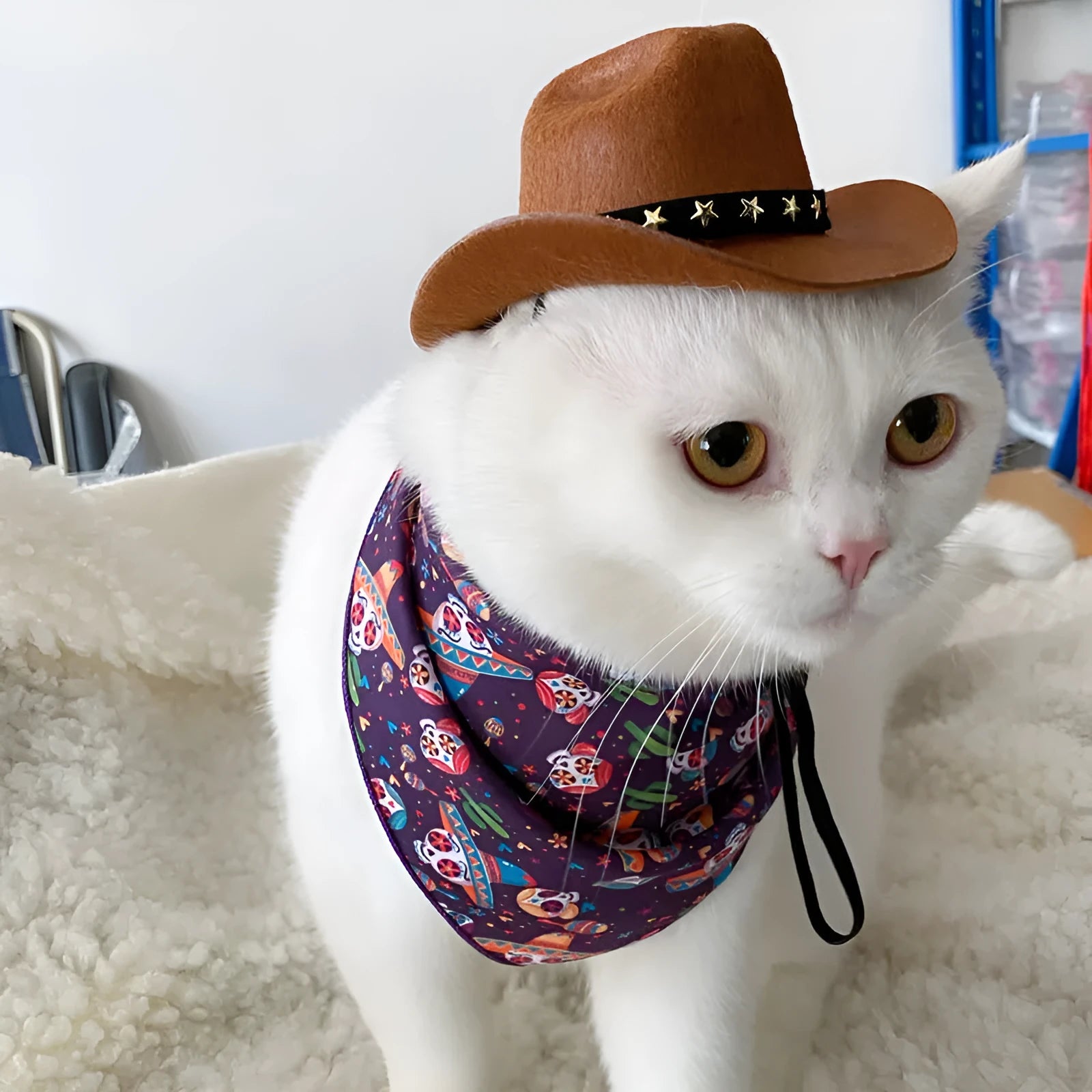 British cat cowboy hat in non woven fabric with ribbon details for small to medium cats