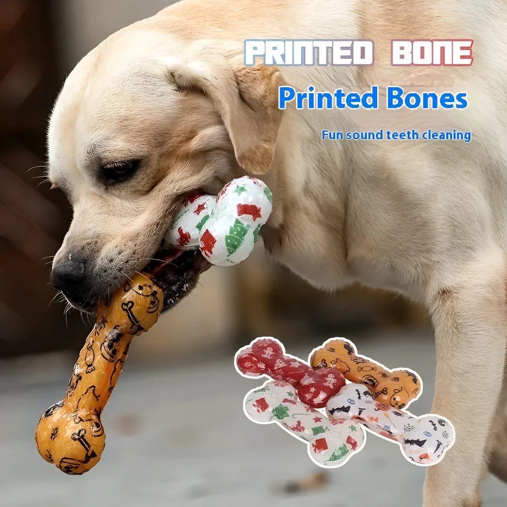 TPR material dog chew toy with printed bone design and squeaker in seasonal colours