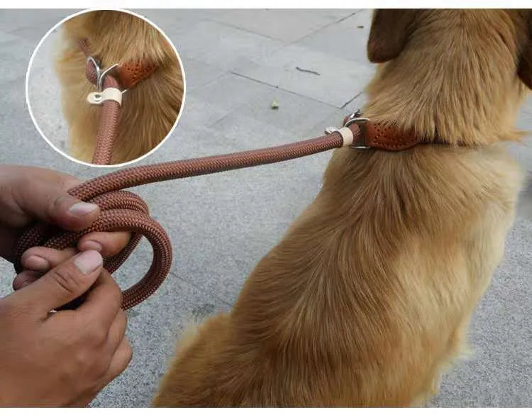 Brown nylon dog leash with hand holding rope and P chain attachment