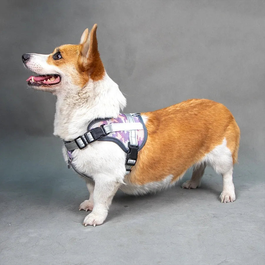 Colourful reflective pet harness with anti-strangulation design in camouflage pattern