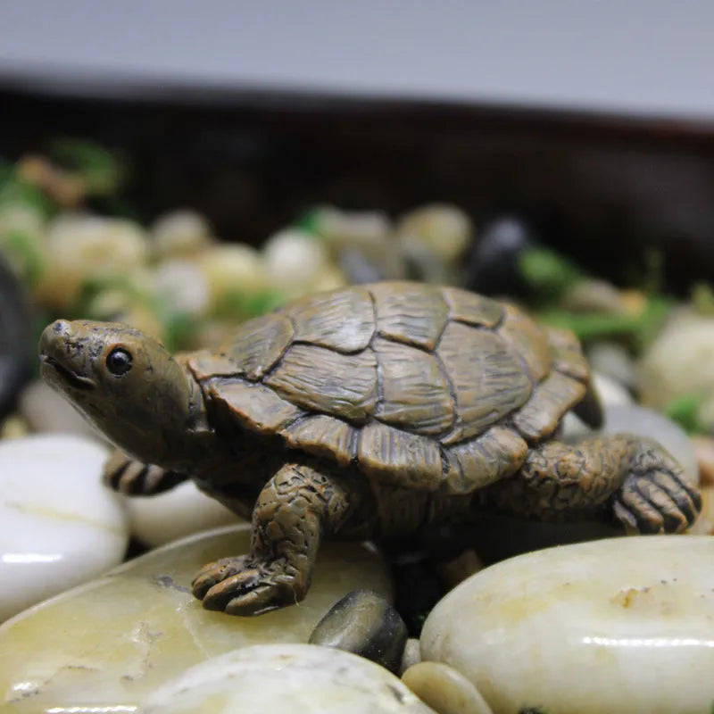 Micro landscape simulation little turtle resin decoration for miniature gardens