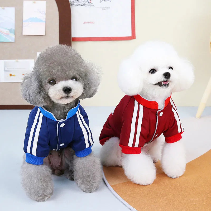 Red or blue dog coat with V-shaped splicing design on a mannequin, showing size range from XS to 3L.