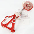 Nylon plain houndstooth dog leash 120cm long small 1cm width with random collar colour