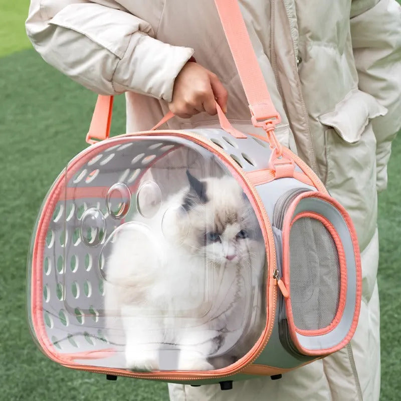Transparent hard-shell cat backpack in grass green colour with shoulder straps, showing interior space dimensions