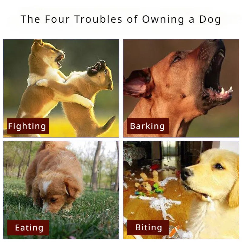 Black adjustable dog muzzle silencer for anti-barking and bite prevention training on a medium-sized dog