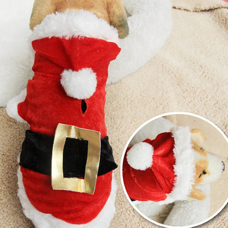 Red plaid acrylic skirt and vest set for small dogs, Christmas pet clothing, sizes XXS to L