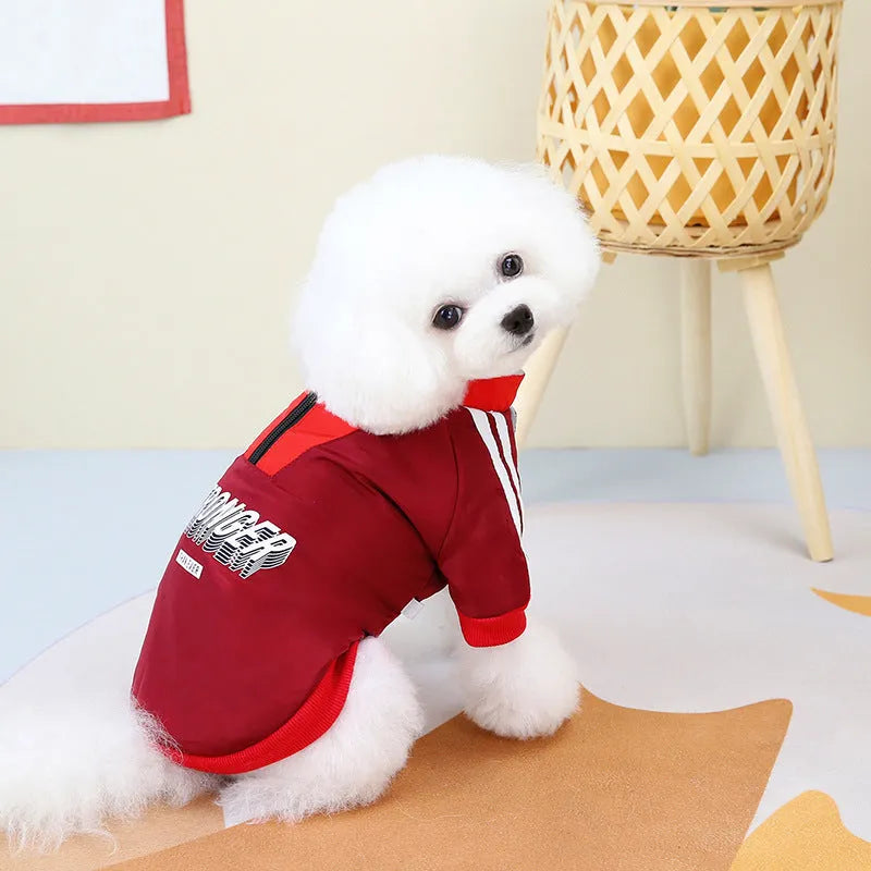 Red or blue dog coat with V-shaped splicing design on a mannequin, showing size range from XS to 3L.