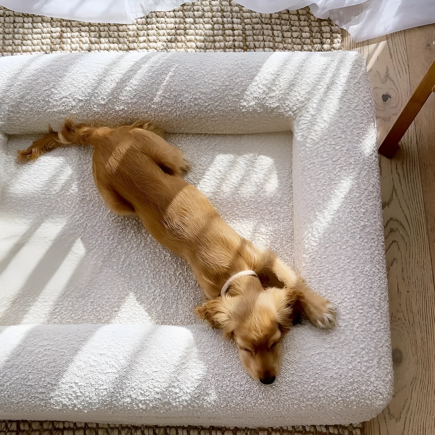 Beige rectangular cloth dog bed sofa in four sizes for medium and large breed pets.