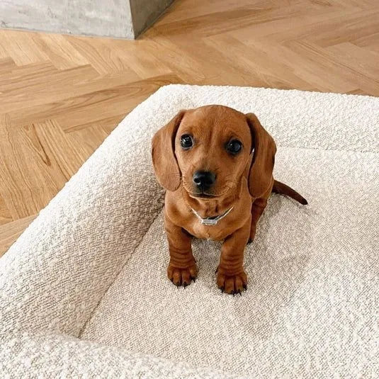 Beige rectangular cloth dog bed sofa in four sizes for medium and large breed pets.
