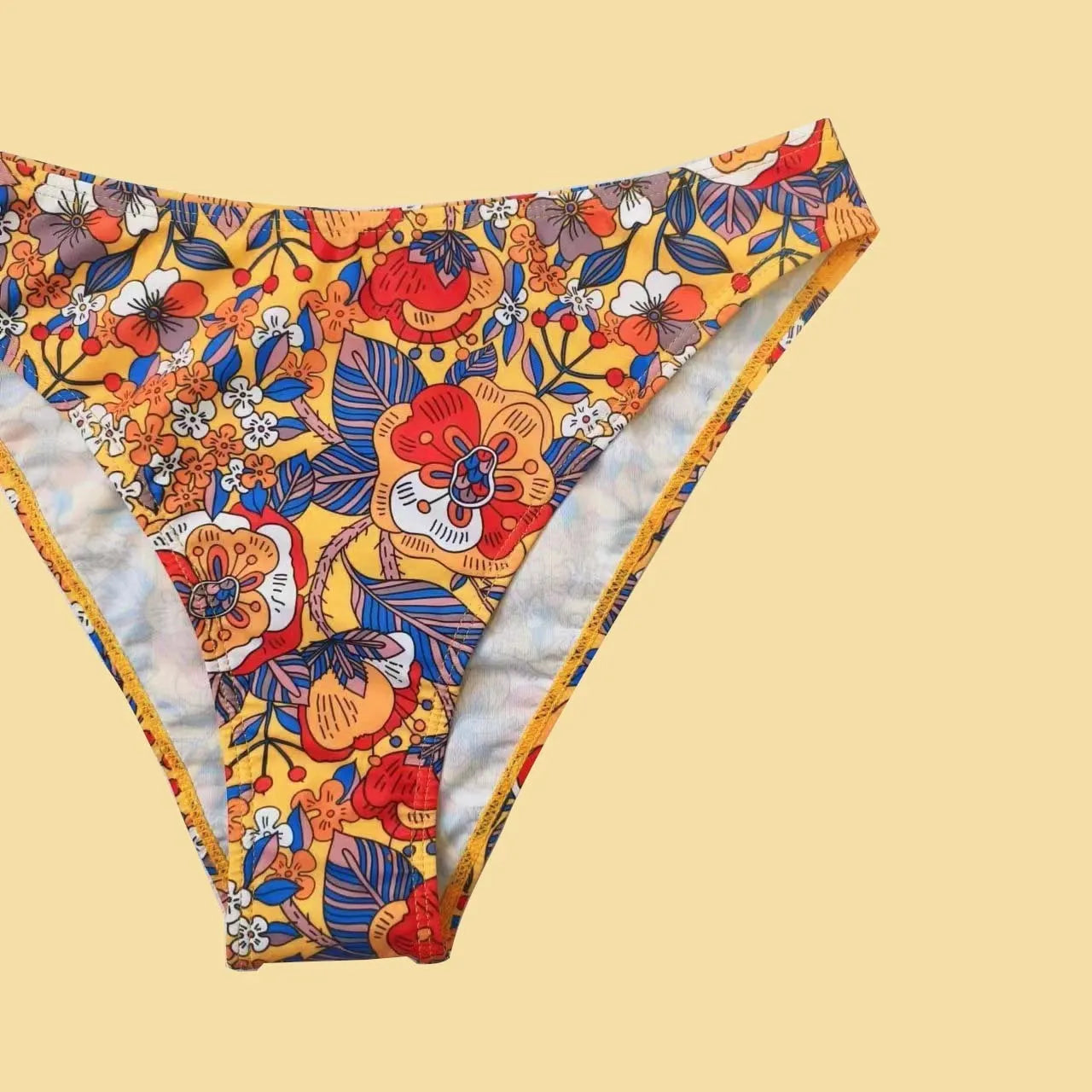 Plus size floral print strapped bikini swimsuit top and briefs on a white background.