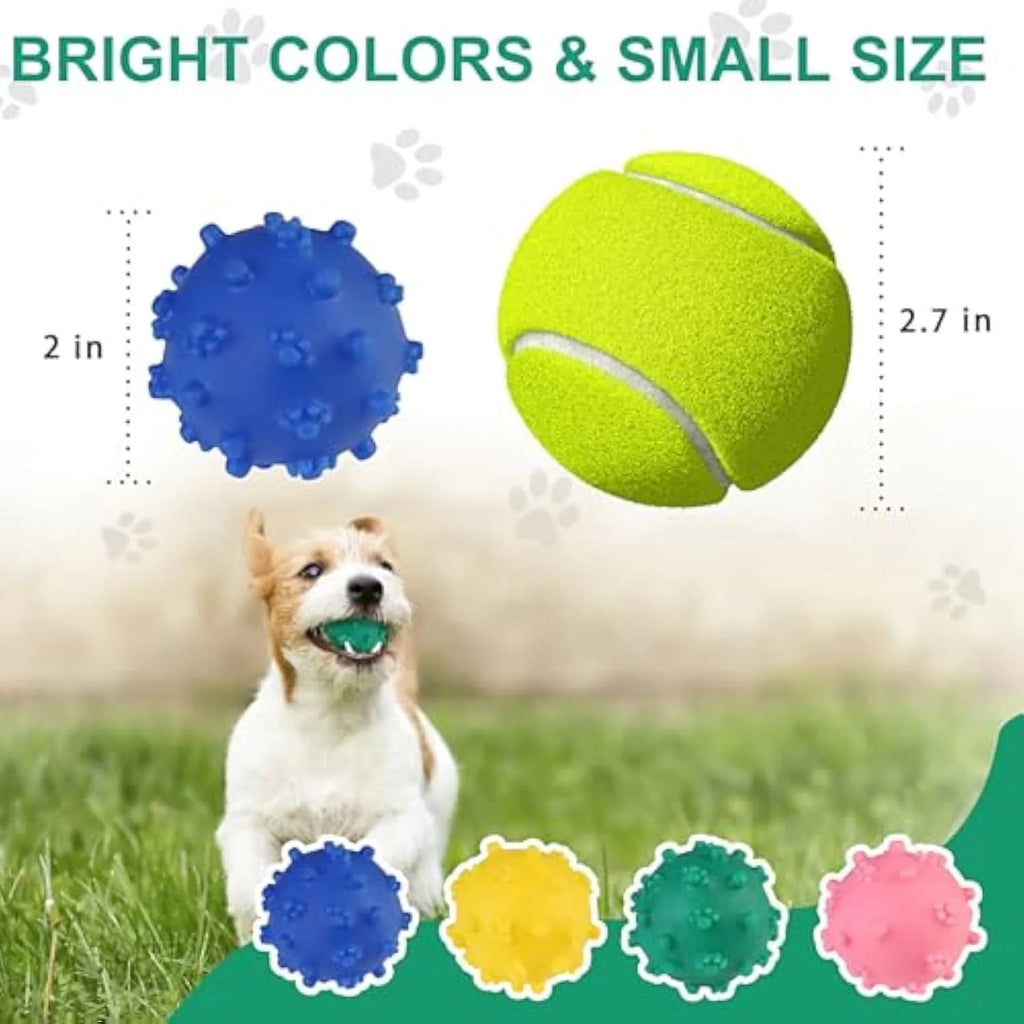 Set of four brightly coloured squeaky dog balls with a textured surface, shown next to a small dog.