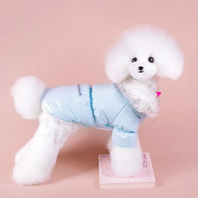 British-style blue cotton winter jacket for dog on wooden background