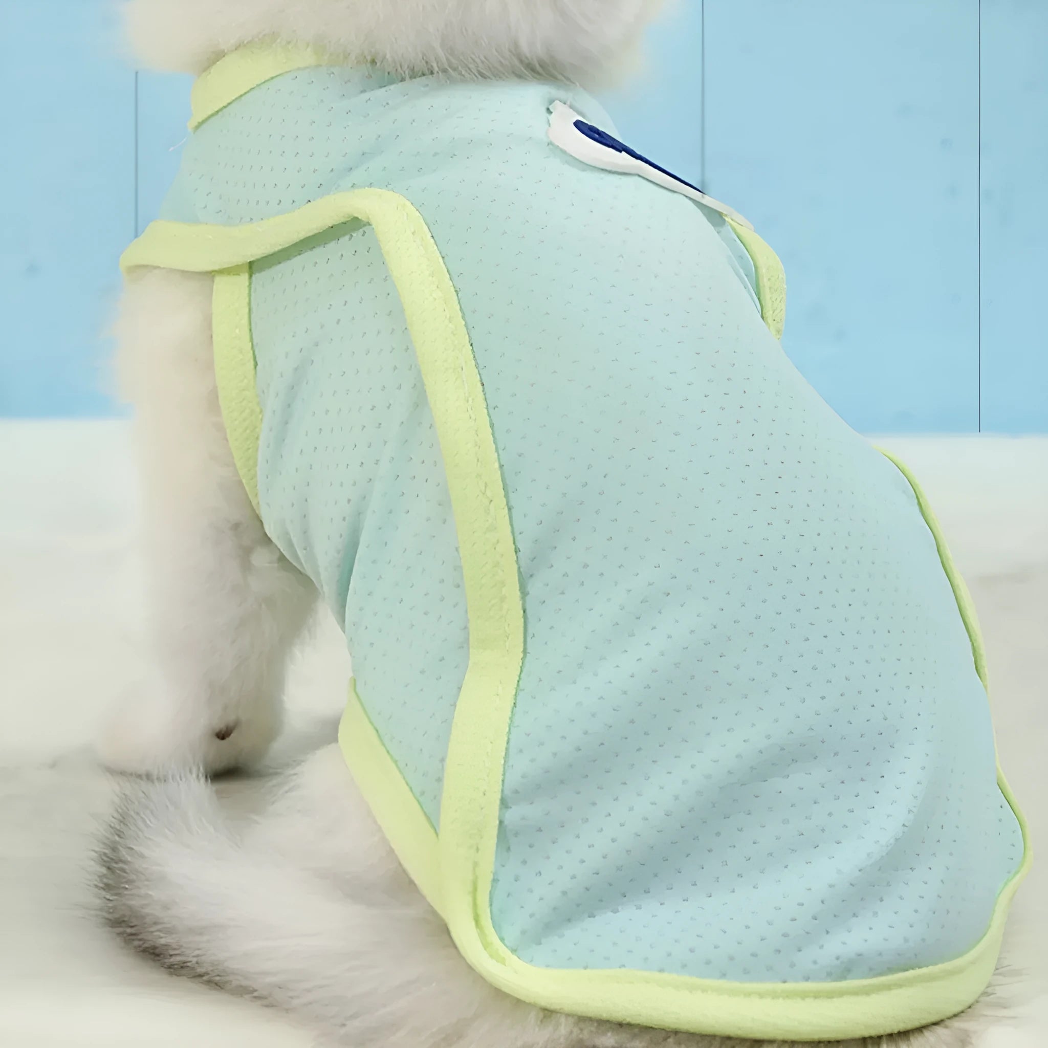 Grass green lightweight polyester vest for a cat on a neutral background, showing sports-style fit.