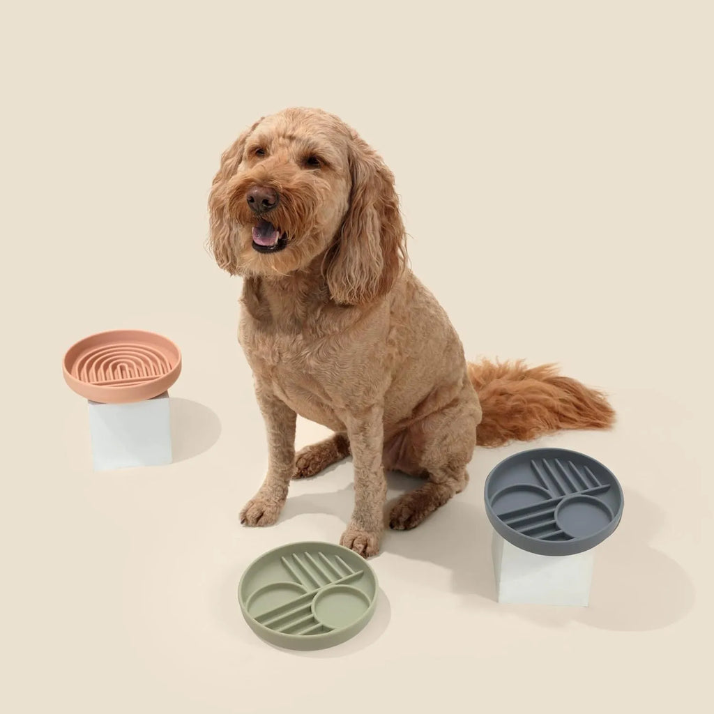 Silicone slow feeder dog bowl with textured ridges and lick mat design.