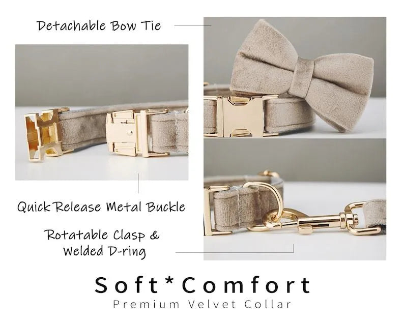 Personalised velvet dog collar with metal buckle and matching bow tie in multiple colours sizes XS to XL
