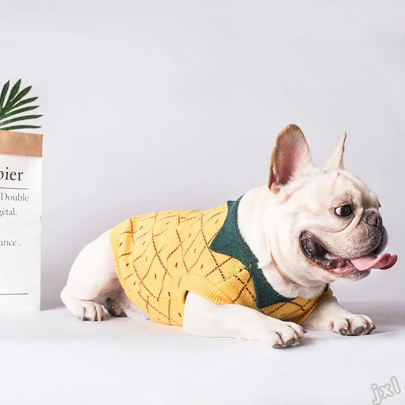 Yellow cotton dog sweater with collar on a white background, Japanese Korean style knit design