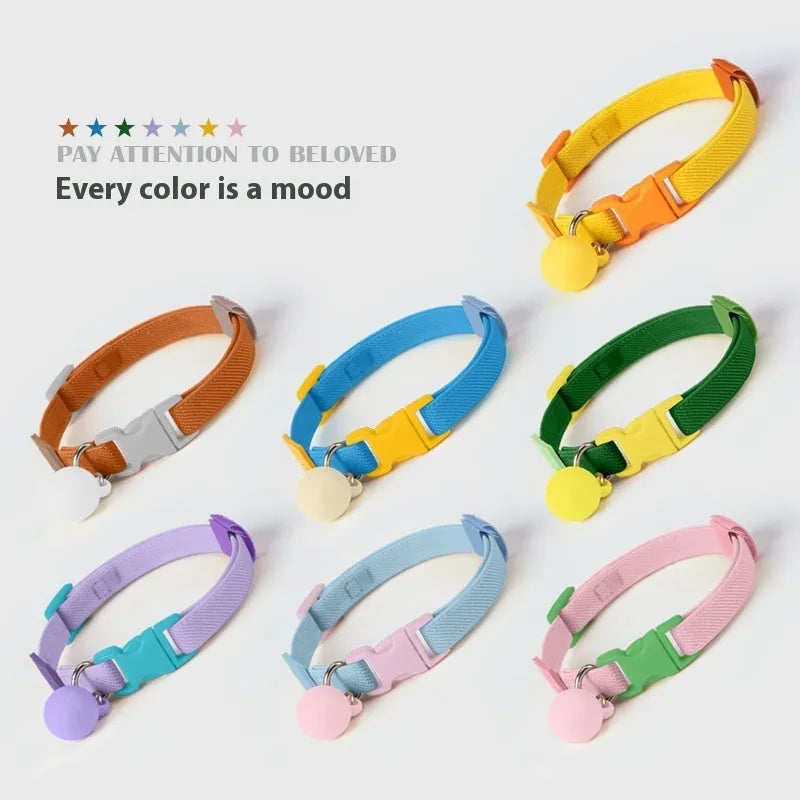 A stretchy, solid-colour polyester dog collar for small breeds, shown in sky blue, adjustable from 22 to 32 centimetres.