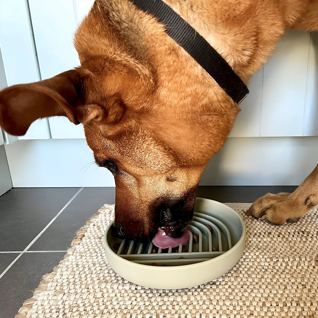 Silicone slow feeding bowl for cats and dogs in pink, gray, and light green