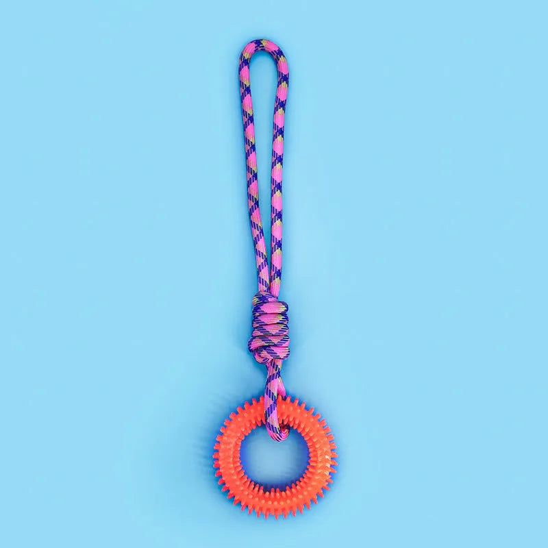 Colourful blue braided rope knotted dog chew toy on a white background.
