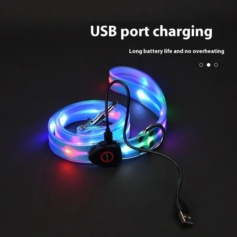 LED pet collar and hand holding rope in orange, blue, yellow or black, silk screen material, pet supplies