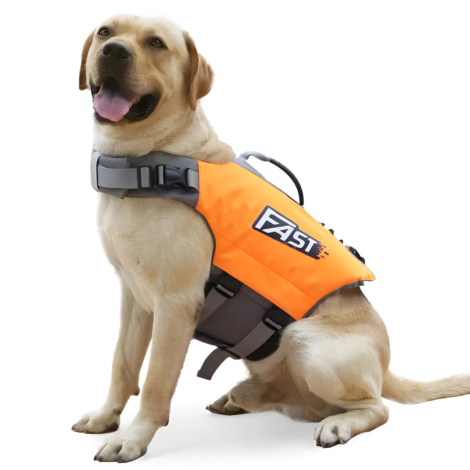 Reflective printed dog life jacket in orange on a green background for medium and large dogs