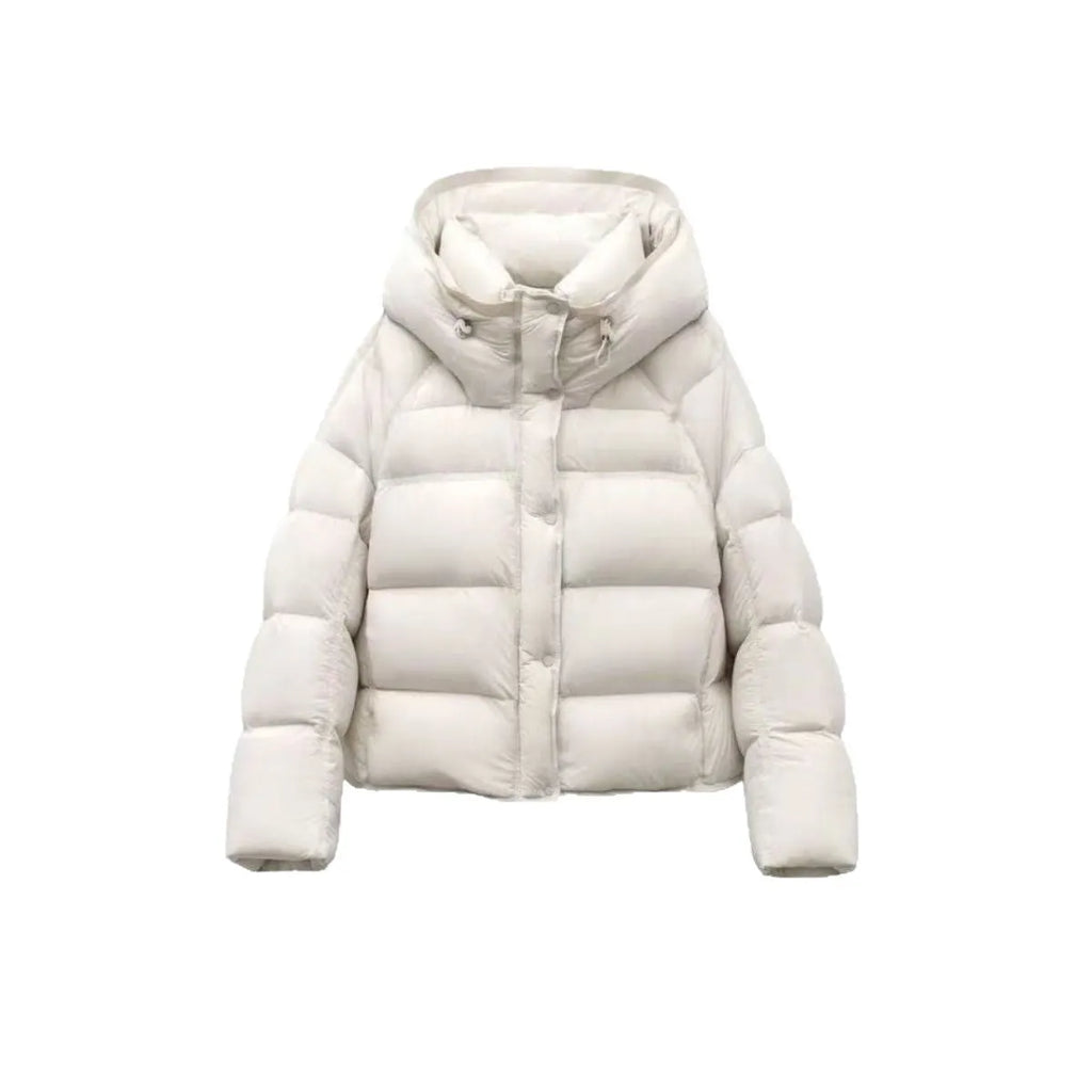 Women's puff down cotton jacket in black, beige, coffee, gray or purple, slim fit, long sleeve, sizes M to 2XL