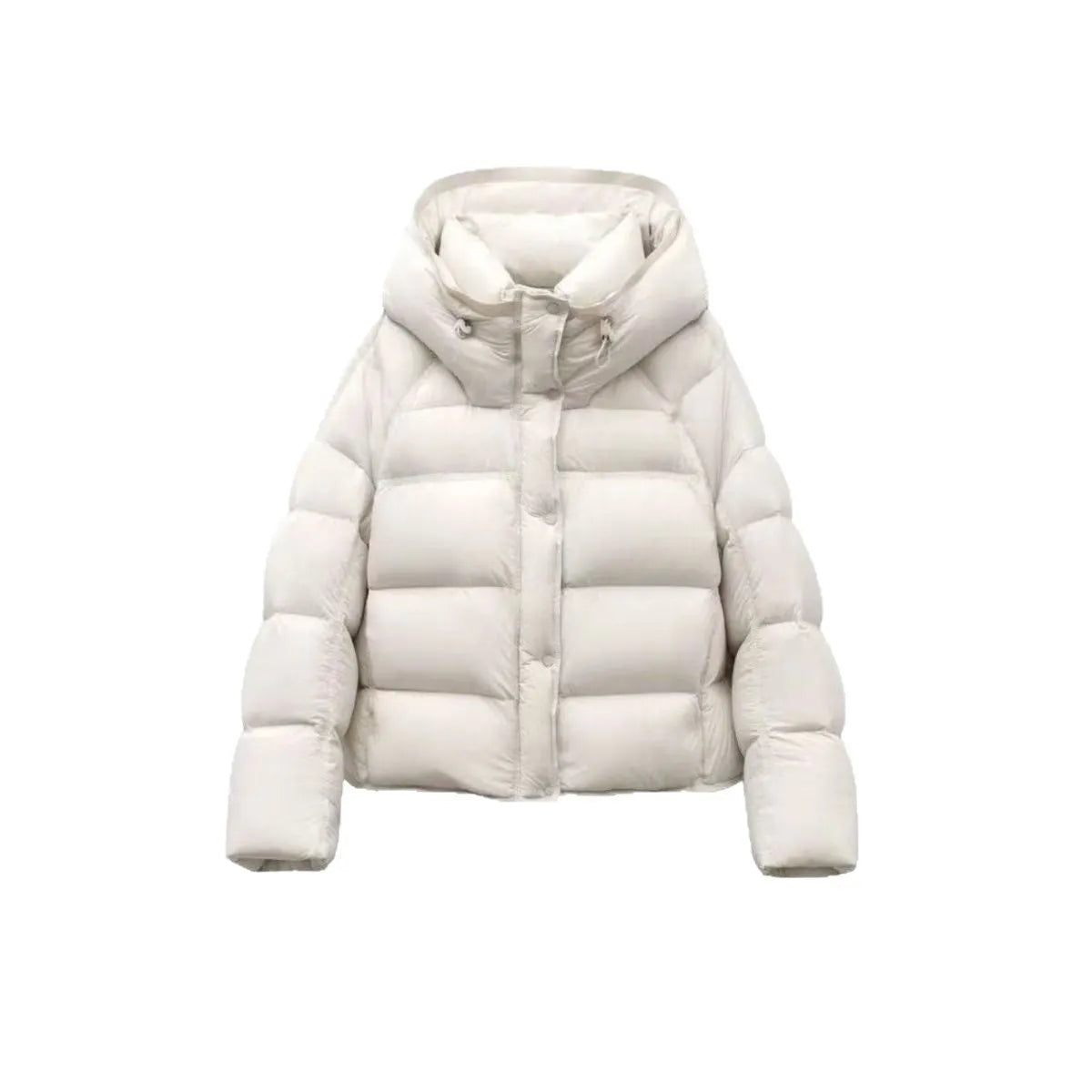 Women's puff down cotton jacket in black, beige, coffee, gray or purple, slim fit, long sleeve, sizes M to 2XL