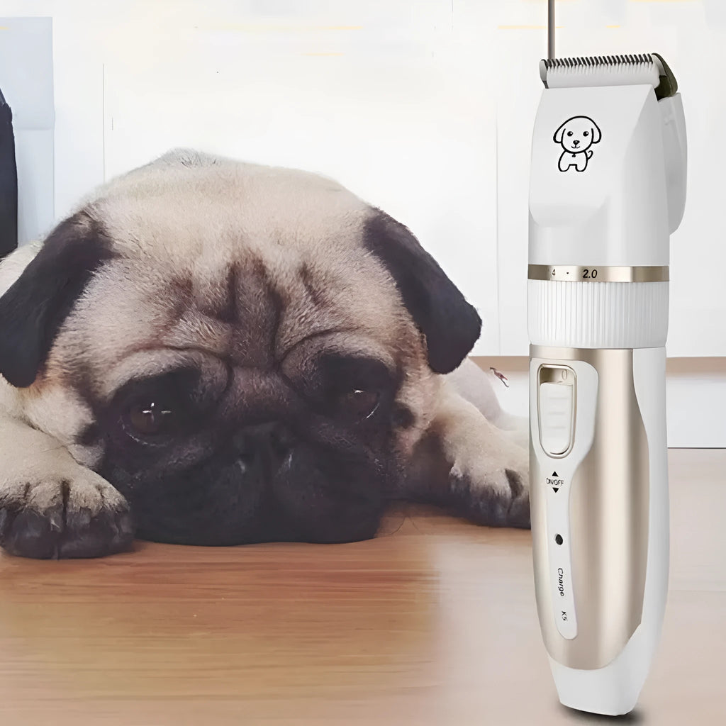 White pet electric clipper with ceramic blade, four combs, brush, and USB cable for dog grooming