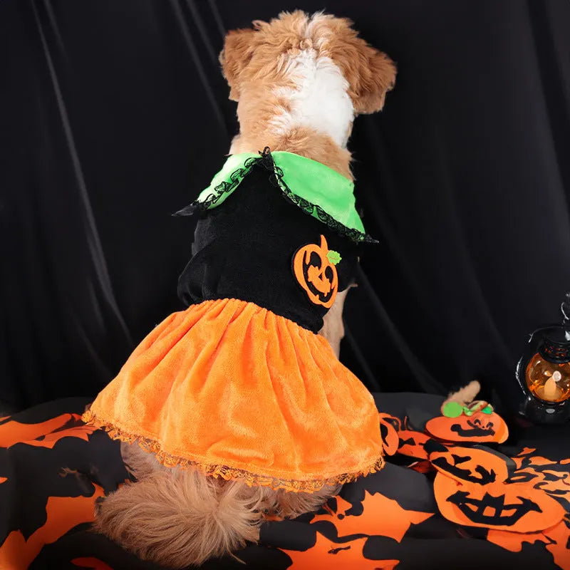 Halloween pumpkin skirt pet costume for small dogs and cats in crystal velvet material