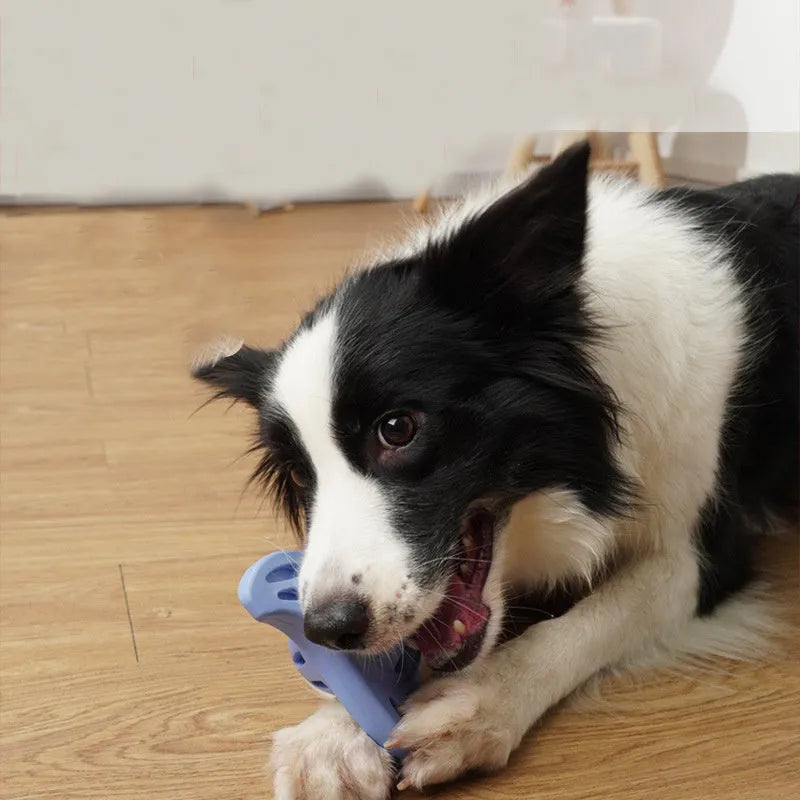 Blue durable plastic boomerang-shaped molar chew toy for medium and large breed dogs.
