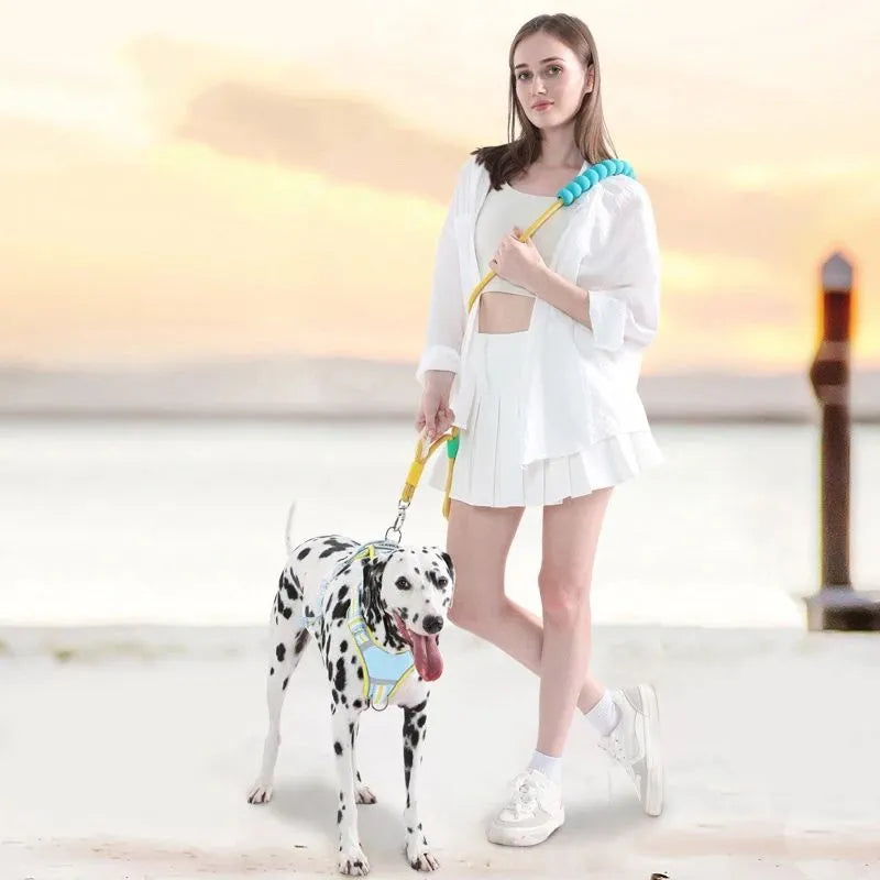 Nylon dog traction leash with foam handle showing colour options