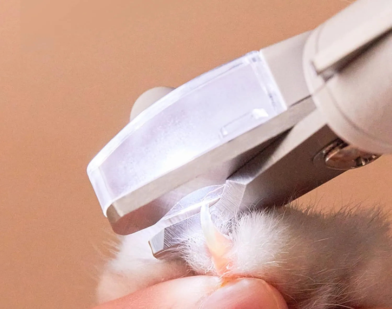 White pet nail clippers with LED light and transparent guard, shown with a separate nail file on a table.