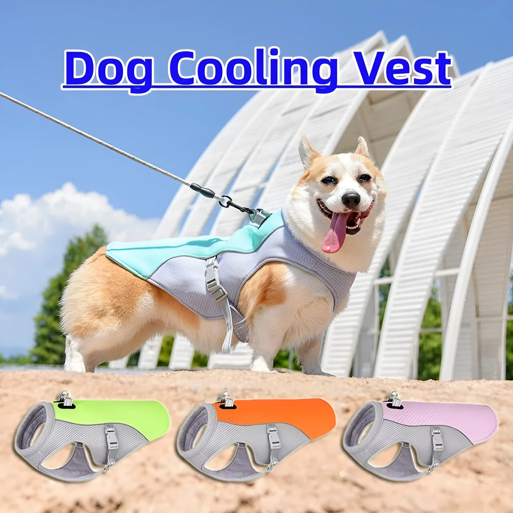Orange dog cooling vest with layered evaporation system for summer heat protection during outdoor walks