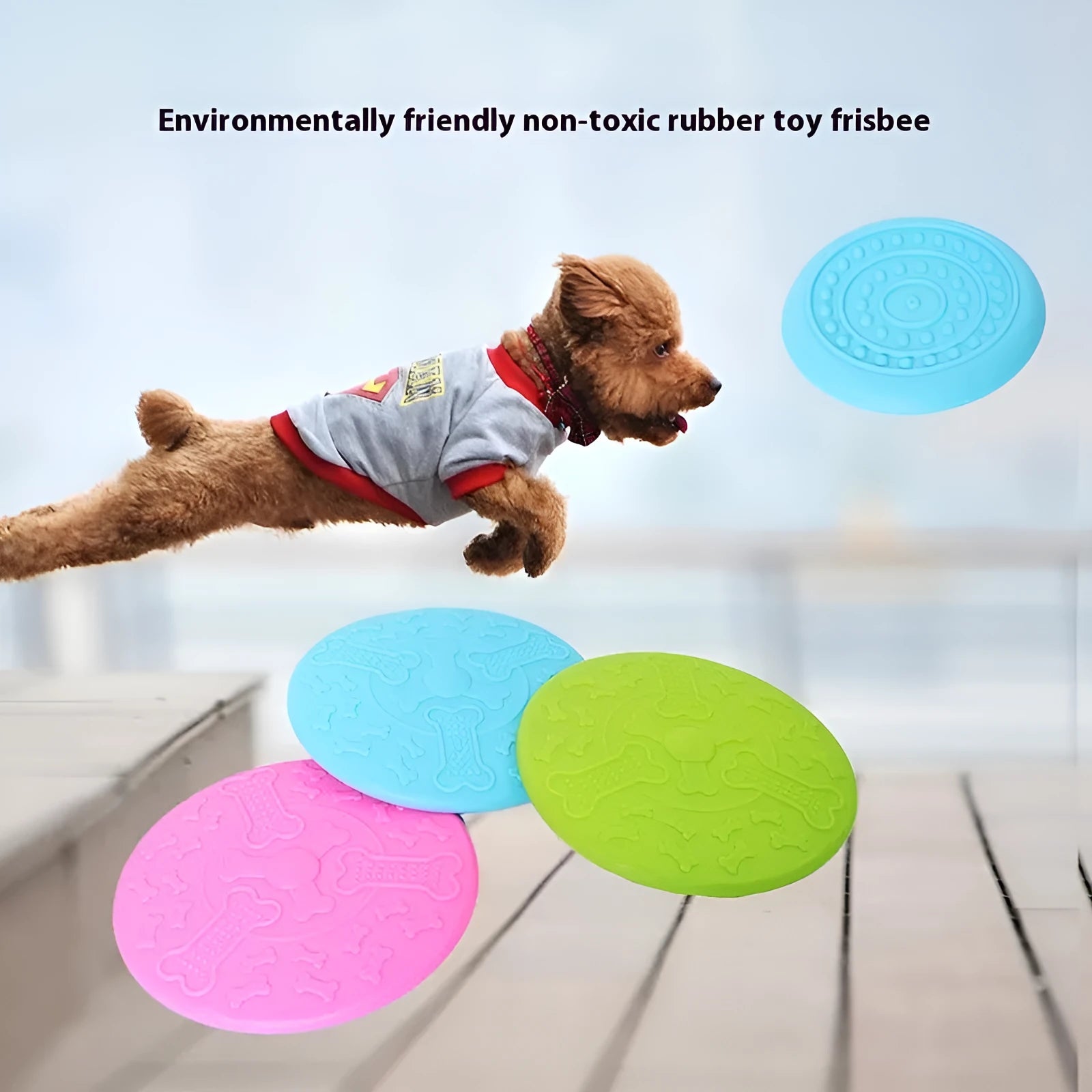 Plastic dog frisbee disc in green colour for outdoor fetch play with a dog.