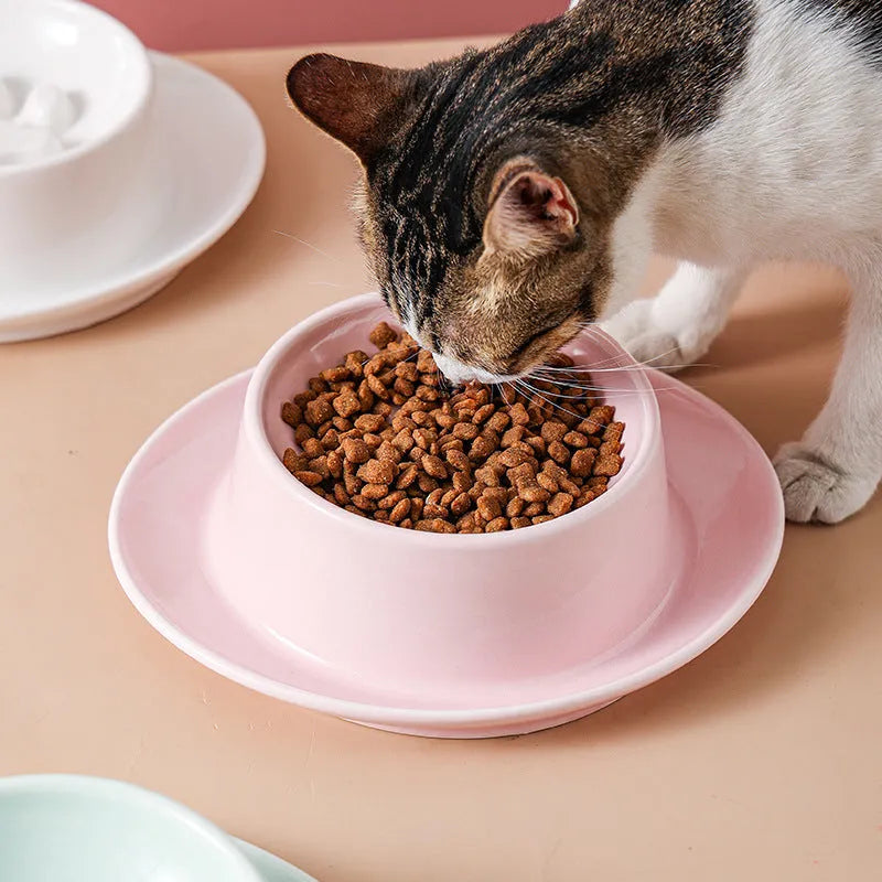 Ceramic anti-choking slow food pet bowl with neck protection in green colour