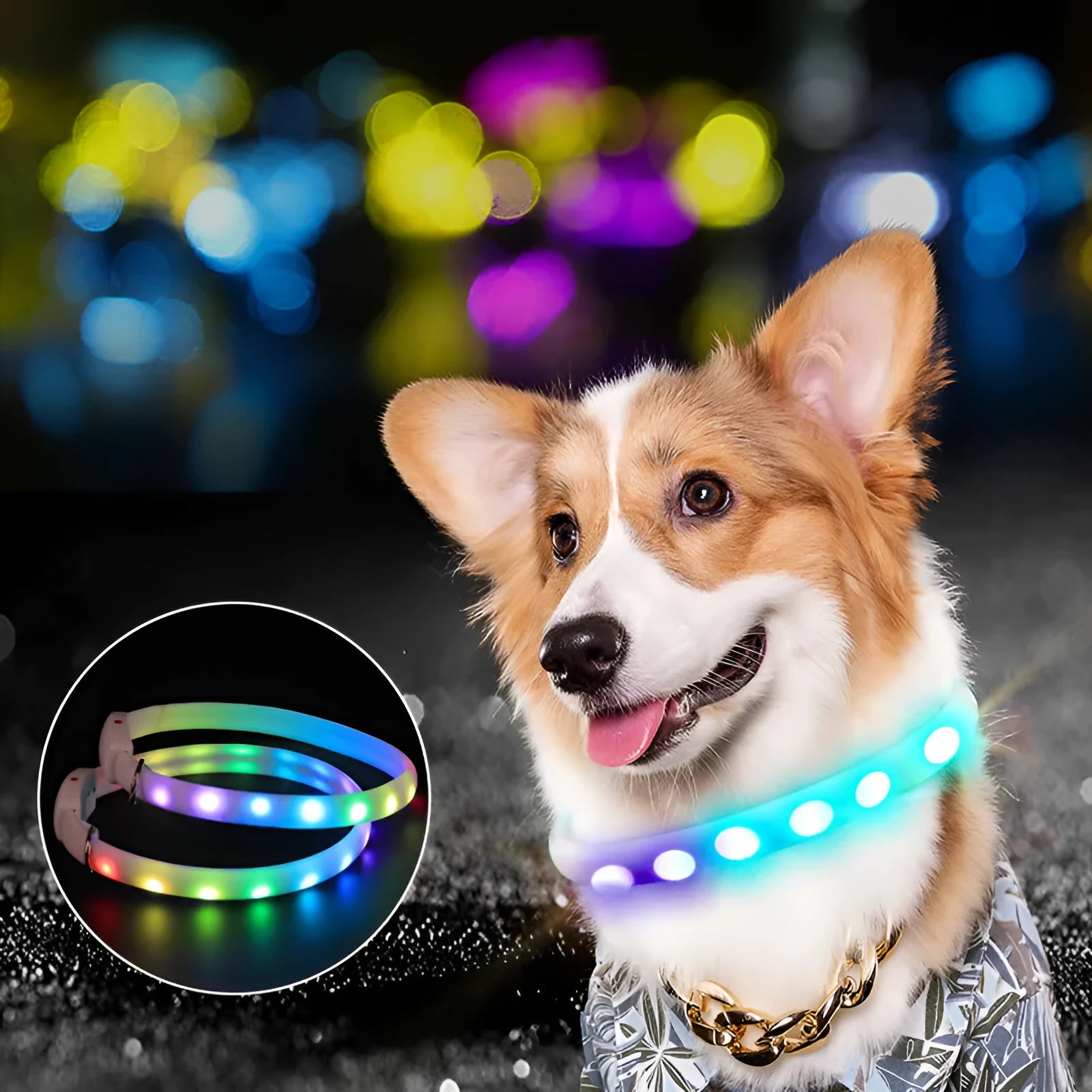 White USB rechargeable LED dog collar with glowing lights on a dog, adjustable 60cm safety collar for night walking