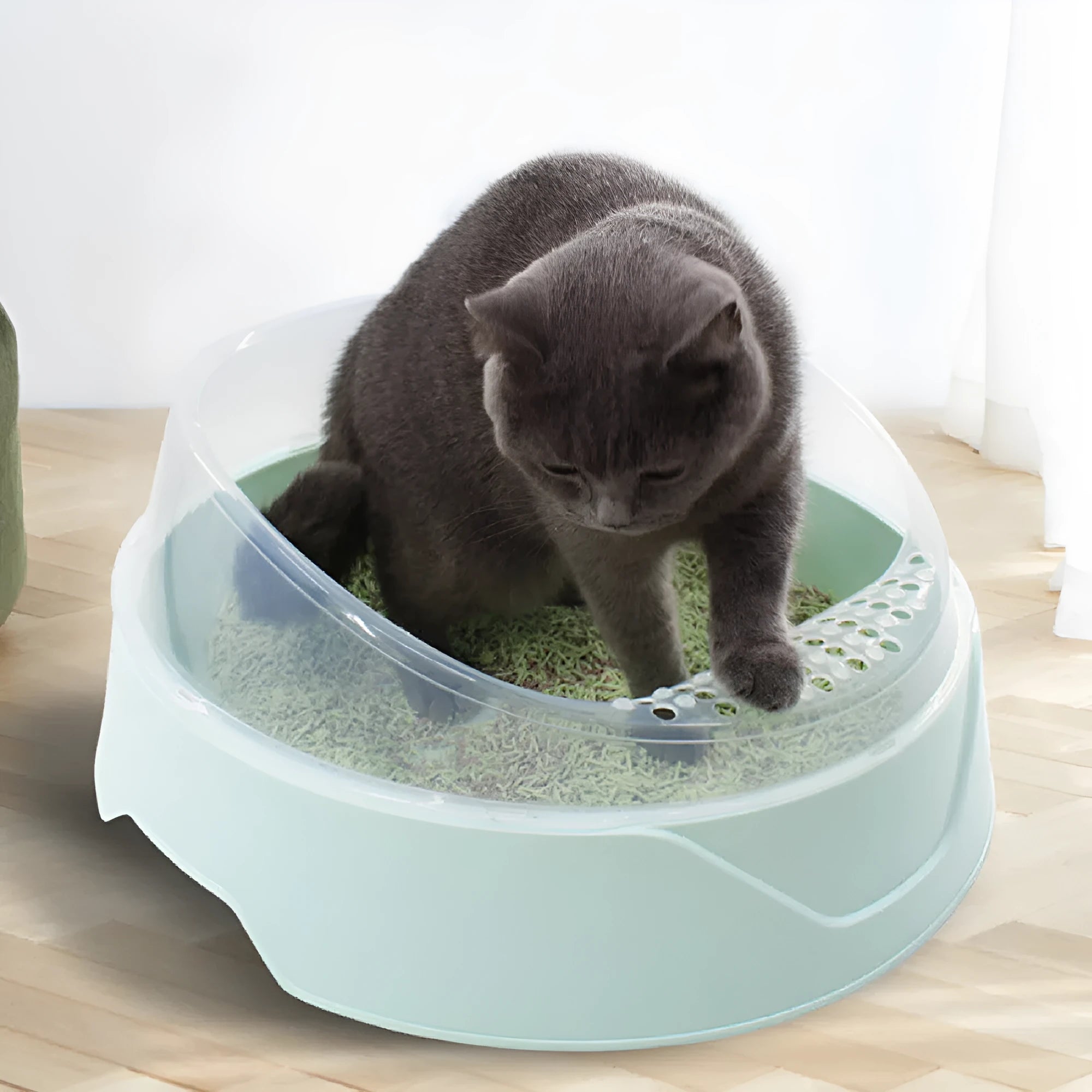 Round PP plastic cat litter box in mint green or soft fog pink colour, available in large and small sizes