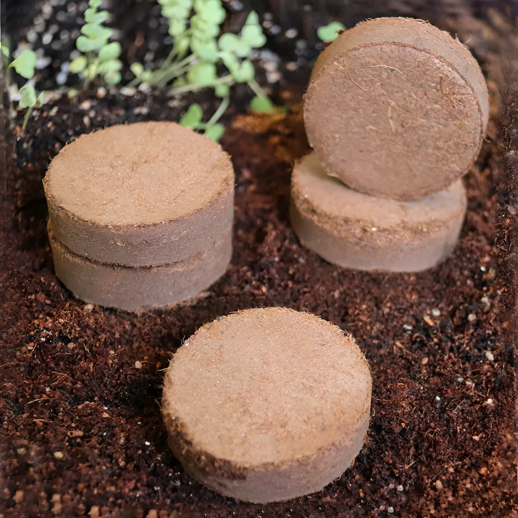 Assortment of loose nutrient soil blocks in various sizes for vegetable planting and seed starting.
