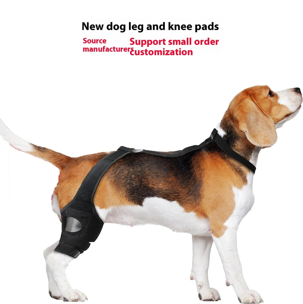 Adjustable neoprene dog hind leg knee brace assist strap in various colours